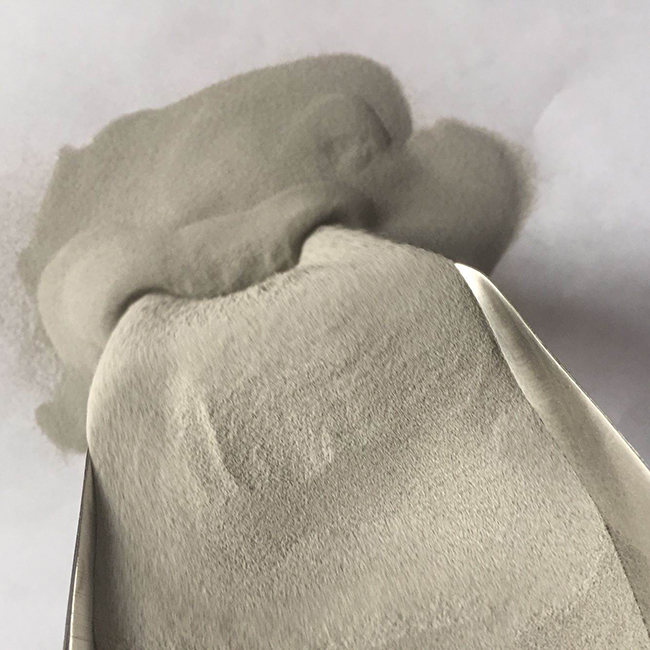 100目漂珠